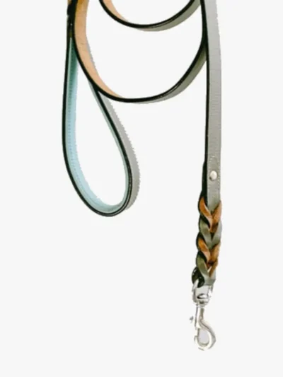 Anti Slip Padded Handle Leash